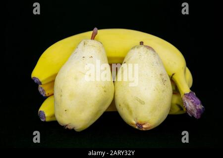 Drei Bananen und zwei Birnen auf schwarzem Hintergrund, Obst, Salat, Frühstück, Dessert, Slice of Food Stockfoto