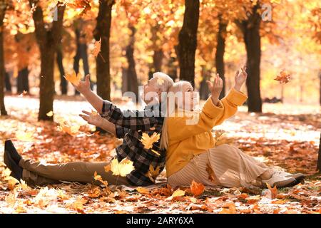 Liebevoll reifes Paar wirft Blätter in den Herbstpark Stockfoto