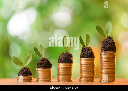 Münzen mit wachsenden Pflanzen auf dem Tisch vor verschwommenem Hintergrund. Sparkonzept Stockfoto