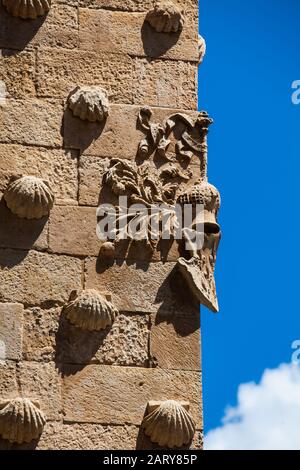 Detail der Dekorationen an der Fassade des historischen Hauses der Schalen, die 1517 von Rodrigo Arias de Maldonado Ritter des Orden von Santiago erbaut wurden Stockfoto