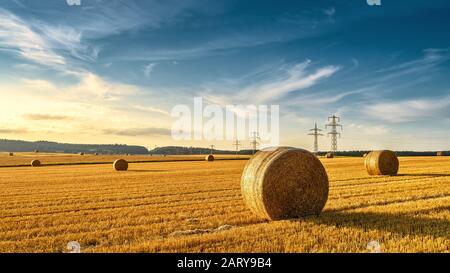 Heuballen auf dem goldenen Landwirtschaftsfeld. Sonnige Landschaft mit runden Heuballen im Sommer. Ländliche Landschaft mit Strohstapeln bei Sonnenuntergang. Gelbes Panorama Stockfoto