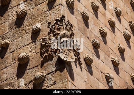 Detail der Dekorationen an der Fassade des historischen Hauses der Schalen, die 1517 von Rodrigo Arias de Maldonado Ritter des Orden von Santiago erbaut wurden Stockfoto