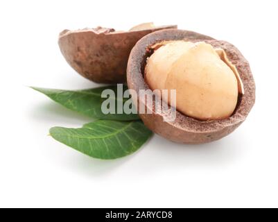 Leckere Macadamia-Nuss auf weißem Hintergrund Stockfoto