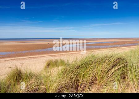 Der Strand und das Marramgras auf Dünen in Holkham, Norfolk, Großbritannien Stockfoto