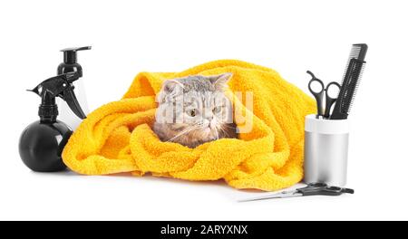 Niedliche Katze mit Handtuch und Pflegewerkzeugen auf weißem Hintergrund Stockfoto