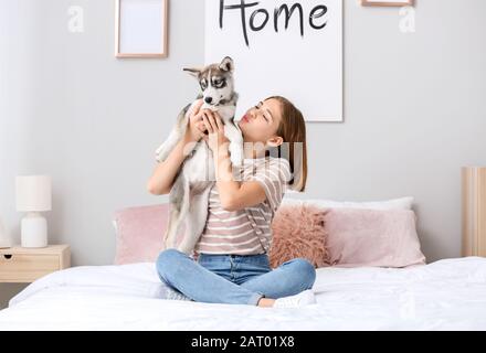 Süßes Mädchen im Teenager-Alter mit lustiger Husky-Welpe zu Hause im Bett Stockfoto