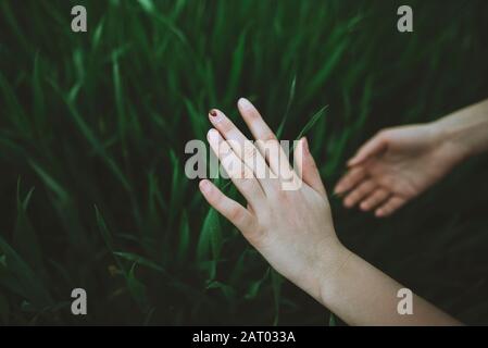 Hände der Frau berühren Gras Stockfoto