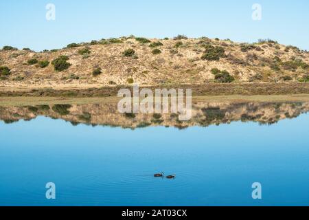 Der ruhige Onkaparinga-Fluss an einem sonnigen Tag mit 2 Enten in South Australia am 30. Januar 2020 Stockfoto