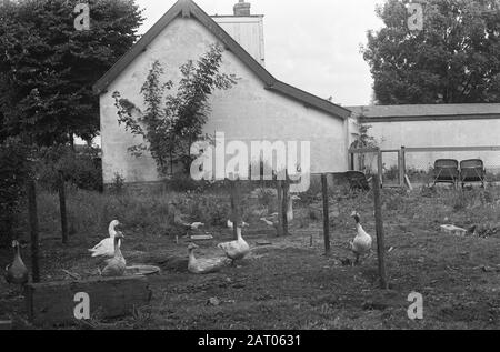 Dorf Ruigoord (in der Nähe von Halfweg) muss aufgrund der Expansion der Industriegebiete verschwinden Amsterdam Datum: 23. Juli 1973 Standort: Amsterdam, Noord-Holland, Ruigoord Schlüsselwörter: Dörfer Stockfoto