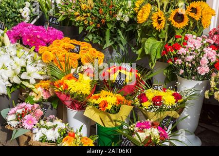 Bunte Blumensträuße aus frisch geschnittenen verschiedenen Blumen einschließlich Gerbera, Dahlia, rote Rosa - Rosen, Helianthus Annus - Sonnenblumen zum Verkauf Stockfoto