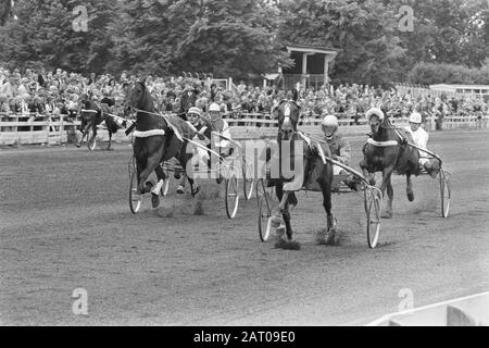 Trotting op Mereveld Datum: 18. Juli 1971 Schlagwörter: Trotting Stockfoto