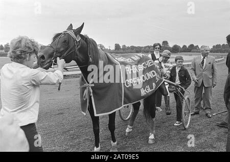 Trotting op Mereveld Datum: 18. Juli 1971 Schlagwörter: Trotting Stockfoto