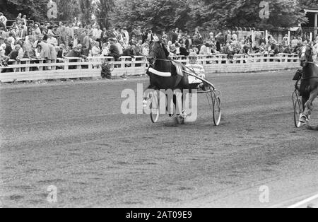 Trotting op Mereveld Datum: 18. Juli 1971 Schlagwörter: Trotting Stockfoto