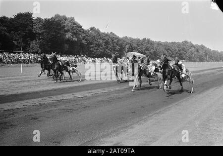 Derby für Trotter 1969 über Duempt Dravers in Aktion Datum: 3. August 1969 Ort: Wassenaar, Zuid-Holland Schlüsselwörter: Trot- en Rennen Stockfoto