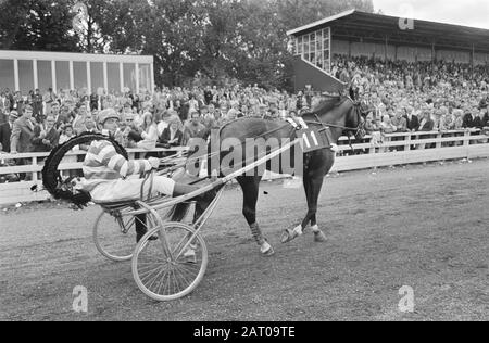 Trotting op Mereveld Datum: 18. Juli 1971 Schlagwörter: Trotting Stockfoto