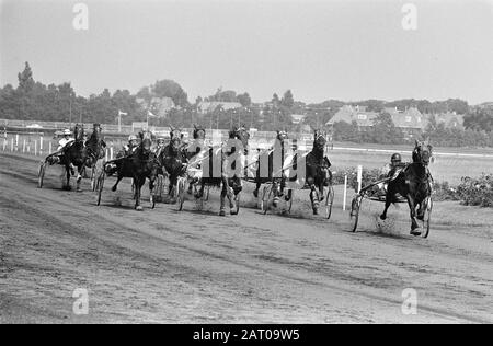 Derby für Trotter 1969 über Duempt Dravers in Aktion Datum: 3. August 1969 Ort: Wassenaar, Zuid-Holland Schlüsselwörter: Trot- en Rennen Stockfoto