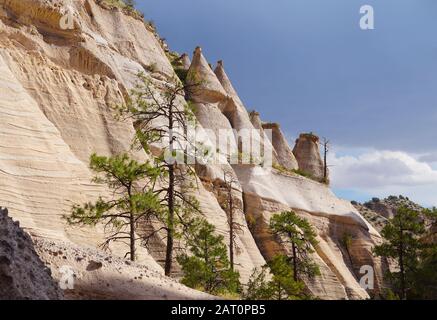 Die kegelförmigen Hoodoos schaffen eine in der Natur gehauene Kunstwand im Tent Rocks National Park. Stockfoto