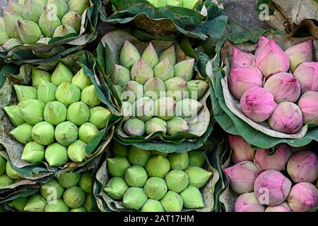 Bangkok, thailand - 2020.01.17: Geschlossene lotosblüten in Bündeln, die in einem Blumenmarkt-Stall an thanon Chakkraphet zum Verkauf angeboten werden Stockfoto