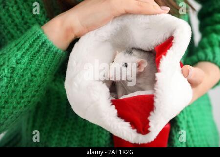 Junge Frau mit süßer Ratte im Weihnachtsmann Hut, Nahaufnahme Stockfoto