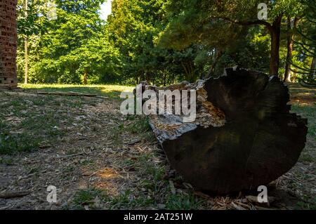 Parque da Lavandeira in Oliveira do Douro, Vila Nova de Gaia, Portugal. Ideal für Spazierwege, Picknickplätze und thematische Gärten. Stockfoto