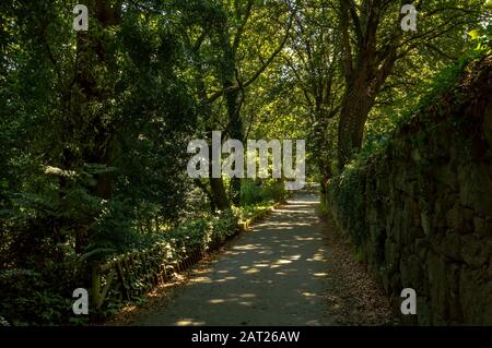 Parque da Lavandeira in Oliveira do Douro, Vila Nova de Gaia, Portugal. Ideal für Spazierwege, Picknickplätze und thematische Gärten. Stockfoto