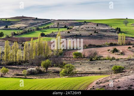 Malerische Aussicht auf idyllische Ackerfelder in der Region Kastilien und Leon, Spanien. Blick im Frühling, vor Sonnenuntergang. Stockfoto