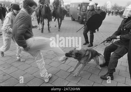 Feyenoord gegen den FC den Haag; Anhänger wird von einem Polizeihund gebissen Datum: 22. März 1987 Schlagwörter: Sport, Anhänger, Name der Fußballeinrichtung: FC den Haag, Feyenoord Stockfoto