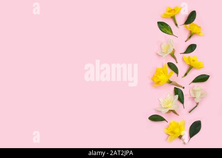 Frühlingskomposition mit Narbenblüten und Blättern auf pinkfarbenem Hintergrund . Kopierbereich. Kreatives minimales Urlaubskonzept. Flaches Lay. Konzept bis 8. März Stockfoto