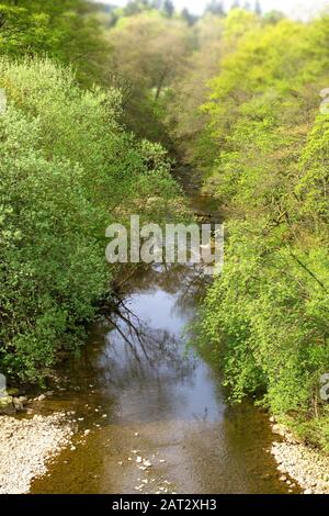 Der Fluss Allen, Allendale, Northumberland Stockfoto