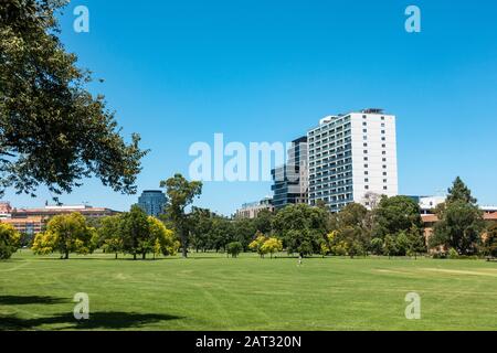 Blick über den Fawkner Park, Melbourne, in Richtung St Kilda Road, Melbourne Stockfoto