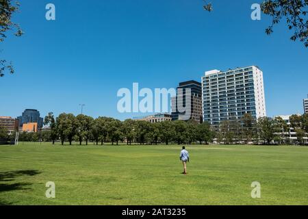 Blick über den Fawkner Park, Melbourne, in Richtung St Kilda Road, Melbourne Stockfoto