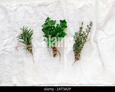 Frisch gepflückte grüne Gartenkräuter auf weißem Textilhintergrund. Flache Laienansicht Stockfoto