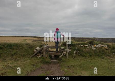 Female Walker Crossing a Stepping Stone Stile on the South West Coast Path Between Mullion Cove and Lizard Point in Rural Cornwall, England, Großbritannien Stockfoto