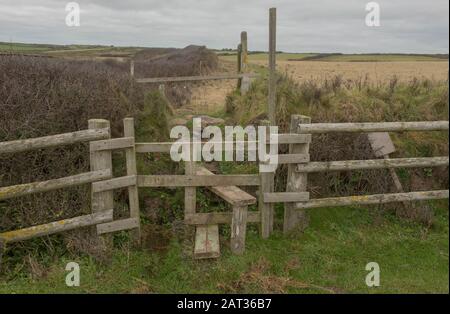 Wooden Stile auf dem South West Coast Path Zwischen Mullion Cove und Lizard Point auf der Halbinsel Lizard im ländlichen Cornwall, England, Großbritannien Stockfoto