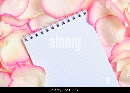 Ein Notizbuch für den Kopierbereich auf dem Hintergrund Rosetten weiß und pink. Draufsicht. Stockfoto