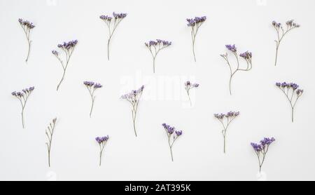 Getrocknete Wildblumen isoliert auf weißem Grund. Draufsicht. Stockfoto