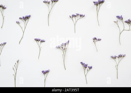 Getrocknete Blumen auf weißem Hintergrund, Herbst-Wohnung mit Tapete, Draufsicht Stockfoto