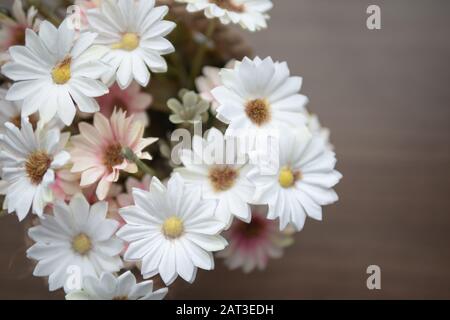 In der Nähe von weißen und rosa Blüten auf dem Holztisch mit gelben Blütenstaub. Ansicht von oben Blühen von gefälschten Blume. Stockfoto