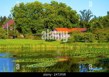 Berlin, Berlin/Deutschland - 2018/07/31: Panoramablick auf das Berlin Dahlem Botanischer Garten und Museum - Botanischer Garten Stockfoto