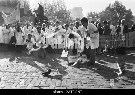 Mitarbeiter Unilever-Researchlab. Aus Duiven demonstrieren für das Büro Unilever in Rotterdam gegen bevorstehenden Schließung Datum: 12. Oktober 1978 Standort: Rotterdam, Zuid-Holland Schlüsselwörter: Arbeiter, Demonstranten, Schließungen Name Der Einrichtung: Unilever Stockfoto