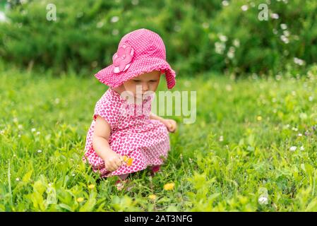 Kleines Mädchen in Rosa, das auf dem Rasen kaucht und Blumen pflückt Stockfoto