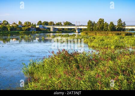 Malbork, Pomerania/Polen - 2019/08/24: Panoramaaussicht auf den Fluss Nogat mit einer Eisenbahnbrücke durch die mittelalterliche Burg des Deutschen Orden in Malbork, Polen Stockfoto