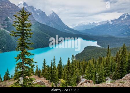 Peyto Lake Alberta Kanada Stockfoto