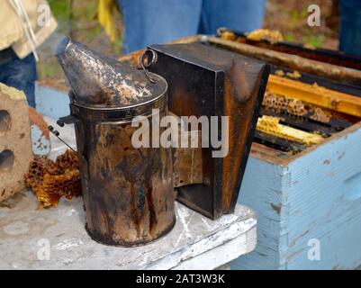 Nahaufnahme eines alten Imkereirauchers, der bei einer Bienenuntersuchung verwendet wird, um Honigbienen ruhig zu halten. Stockfoto