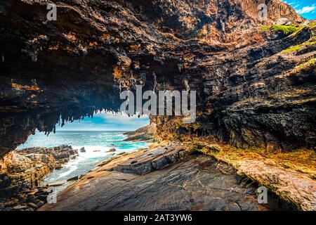 Admirals Arch Lookout mit schlafenden Seelöwen, Kangaroo Island, South Australia Stockfoto