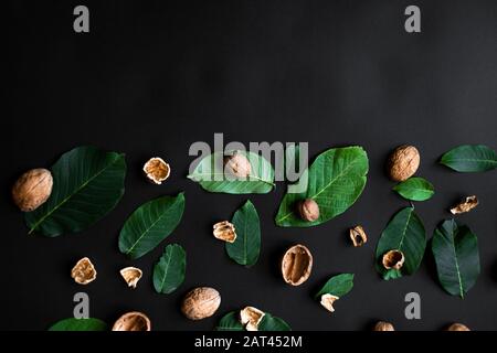 Nußschale und frische grüne Blätter auf einem halben schwarzen Hintergrund. Kopierbereich Stockfoto