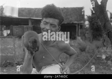 Fotobericht Kebon Selada en Kota Batoe (2. Und 3. cie von 4-10 R.I. und 3 grGr) Indonesisch mit Affendatum: Dezember 1946 Ort: Indonesien, Niederländische Ostindien Stockfoto