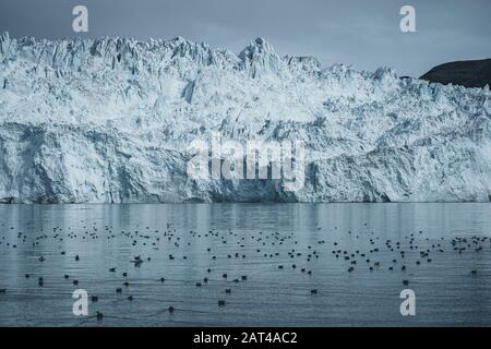 Nahaufnahme von riesigen Gletscher an der Wand. Große Brocken aus Eis brechen. Moody und trübes Wetter. Eqip Sermia Gletscher Eqi Gletscher genannt. Grönländisch Stockfoto