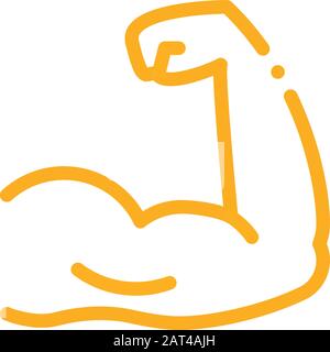 Abbildung: Darstellung Der Vektorkontur Der Armmuskeln Stock Vektor