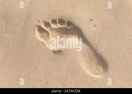 Der menschliche Fußabdruck befindet sich in nassem Sand am Strand Stockfoto